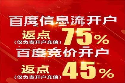 百度推广代运营公司服务详解：全方位的广告策略